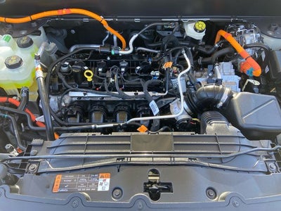 2024 Ford Maverick XLT