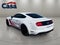 2019 Ford Mustang GT Premium STAGE 2 ROUSH