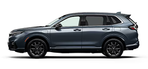 Casa Honda Las Cruces in Las Cruces NM